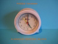 poema taurino copyright nel amaro cortesia from the artist to klauss van damme all rights reserved vegap